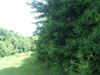 IMG 20170527 110036