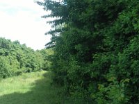 IMG 20170527 110038