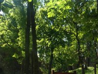 IMG 20170527 122951