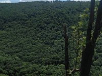 IMG 20170527 124357