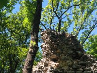 IMG 20170527 125506