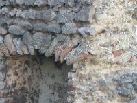 IMG 20170527 170859